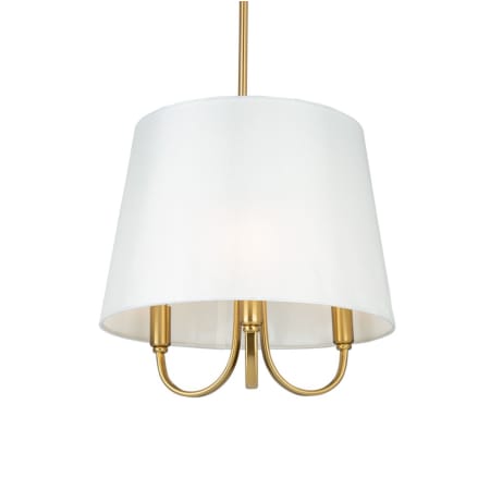 A large image of the Artcraft Lighting SC13330 Brushed Gold