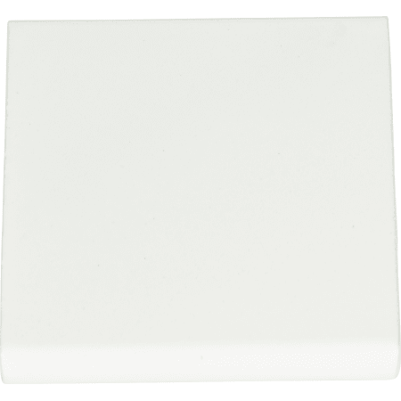A large image of the Atlas Homewares A831 High White Gloss