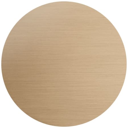 【新作入荷!!】 Chip Finish Nickel Polished 13999902 Axor Sample Axor for ゲームキャラクター