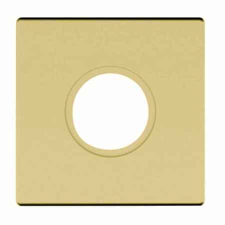 A large image of the Baldwin R017.IDM Non-Lacquered Brass
