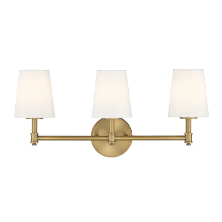 A large image of the Bellevue SH80051 Natural Brass