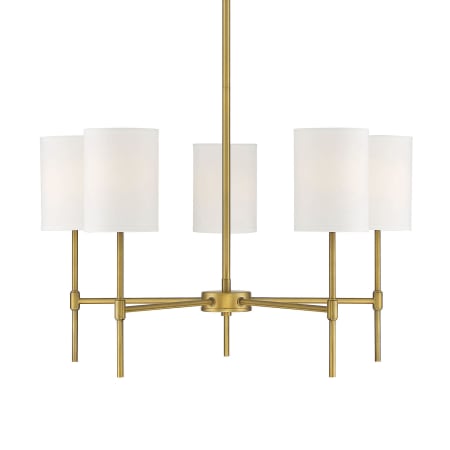 A large image of the Bellevue SHM10067 Natural Brass