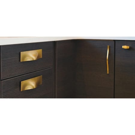 A large image of the Belwith Keeler B078797 Emerge Lifestyle - Brushed Golden Brass