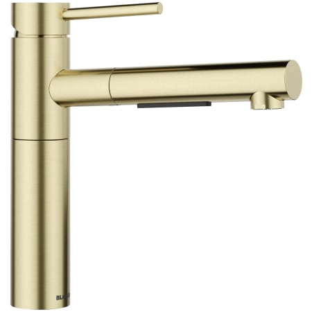 A large image of the Blanco 527558 Satin Gold
