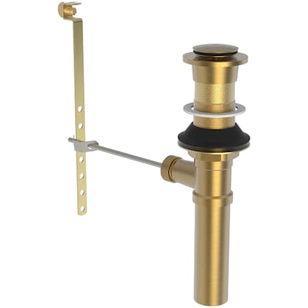 A large image of the Brasstech 324 Satin Bronze (PVD)
