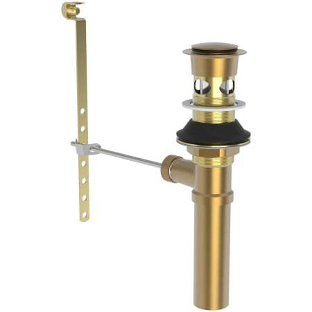 A large image of the Brasstech 326 Satin Bronze (PVD)