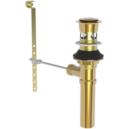 A large image of the Brasstech 326 Polished Gold (PVD)