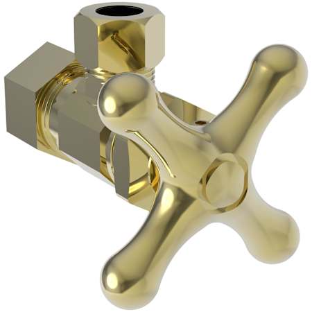 A large image of the Brasstech 403X Uncoated Polished Brass (Living)