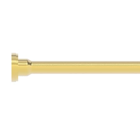 A large image of the Brasstech 436 Polished Brass (Coated)