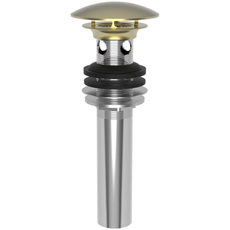 A large image of the Brasstech 499 Satin Brass (PVD)