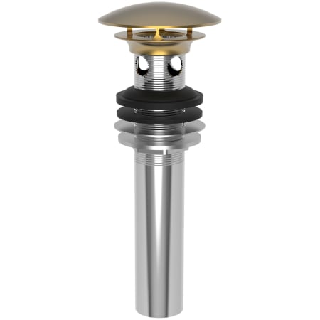 A large image of the Brasstech 499 Satin Bronze (PVD)
