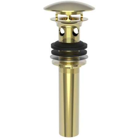 A large image of the Brasstech 499-2 Uncoated Polished Brass (Living)