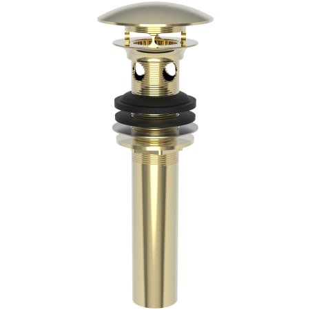 A large image of the Brasstech 499-2 French Gold (PVD)