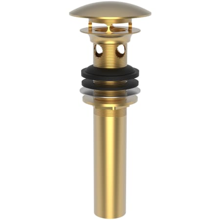 A large image of the Brasstech 499-2 Satin Gold