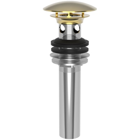 A large image of the Brasstech 499 Polished Gold (PVD)