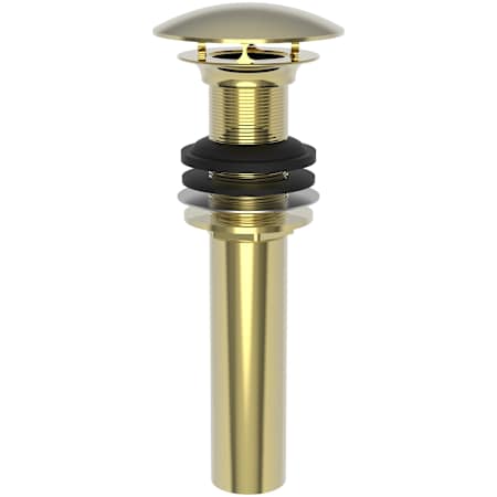 A large image of the Brasstech 499-3 Uncoated Polished Brass (Living)