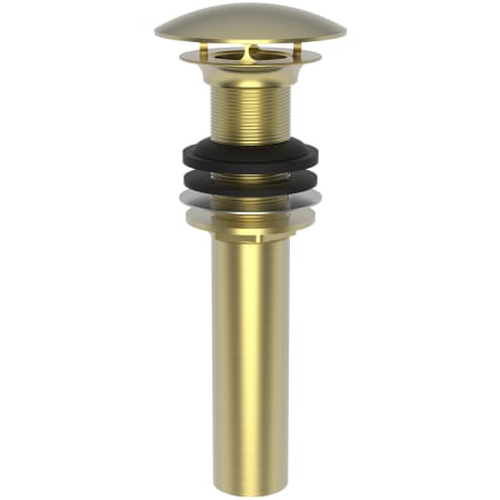 A large image of the Brasstech 499-3 Satin Brass (PVD)
