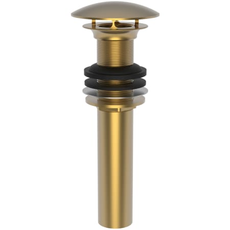 A large image of the Brasstech 499-3 Satin Bronze (PVD)
