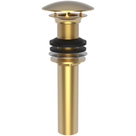 A large image of the Brasstech 499-3 Satin Gold