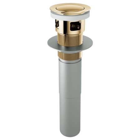 A large image of the Brizo RP81628 Polished Gold