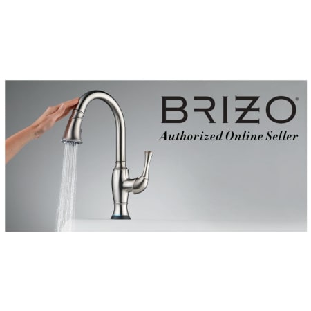 A large image of the Brizo 84121 Alternate Image