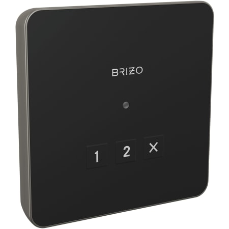 A large image of the Brizo 8CN-220L Lumicoat Luxe Steel