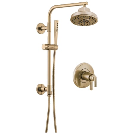 A large image of the Brizo BSS-Levoir-T60098-SC Luxe Gold