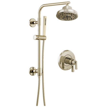 A large image of the Brizo BSS-Levoir-T60098-SC Brilliance Polished Nickel