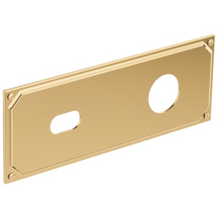 A large image of the Brizo RP100323 Polished Gold