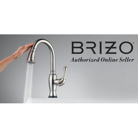 A large image of the Brizo RP6914298-BN Brizo RP6914298-BN