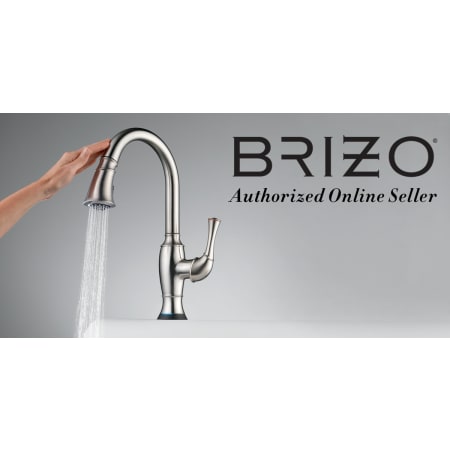 A large image of the Brizo RP6914299-BN Brizo RP6914299-BN