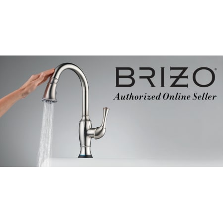 A large image of the Brizo T66605 / R35600 Authorized Online Seller