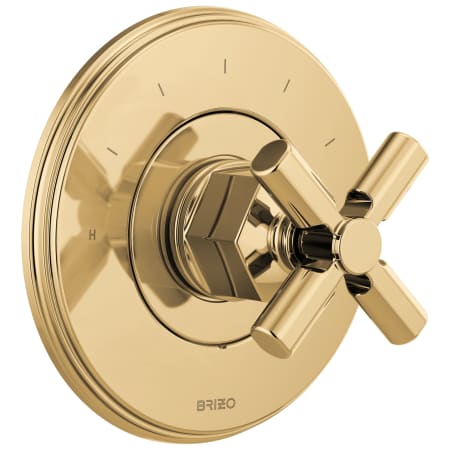 A large image of the Brizo T66T076-LHP Polished Gold