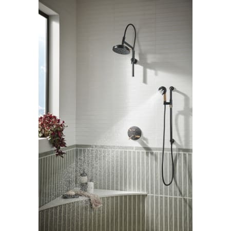 A large image of the Brizo T75635-LHP Alternate Image
