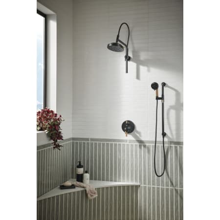 A large image of the Brizo T75635-LHP Alternate Image