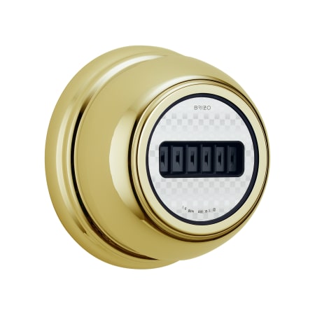 A large image of the Brizo T84101 Brilliance Brass