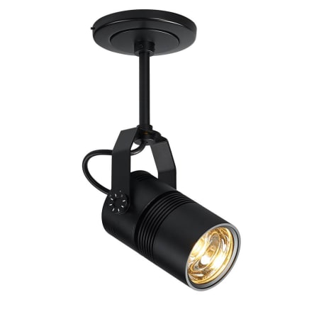 A large image of the Bruck Lighting 137420/11/5/CLR Black