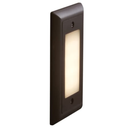 A large image of the Bruck Lighting 138021/AMB/F Bronze