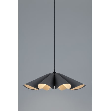 A large image of the Bruck Lighting WEPDEL/60 Alternate View