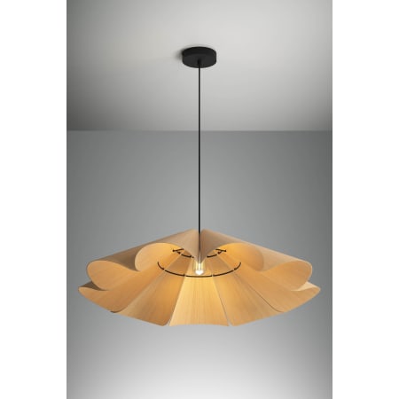 A large image of the Bruck Lighting WEPDEL/80 Alternate Image