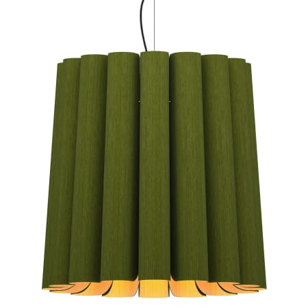 A large image of the Bruck Lighting WEPREN/56L Green / Ash