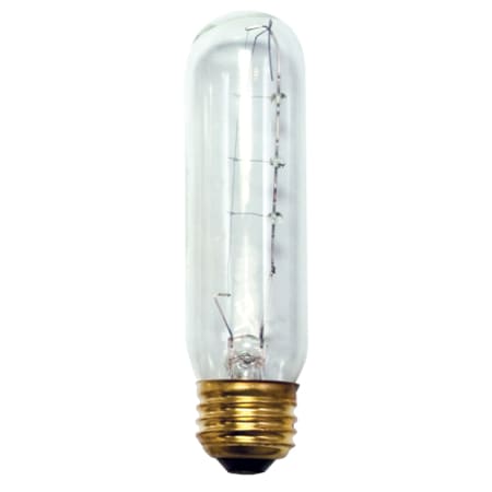 A large image of the Bulbrite 861039 Clear