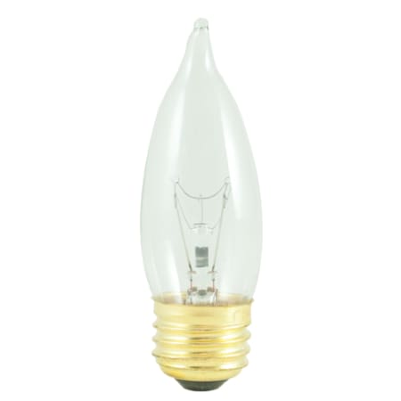 A large image of the Bulbrite 861105 Clear