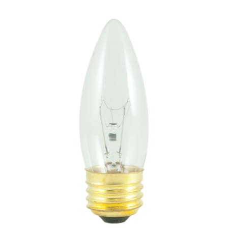 A large image of the Bulbrite 861106 Clear