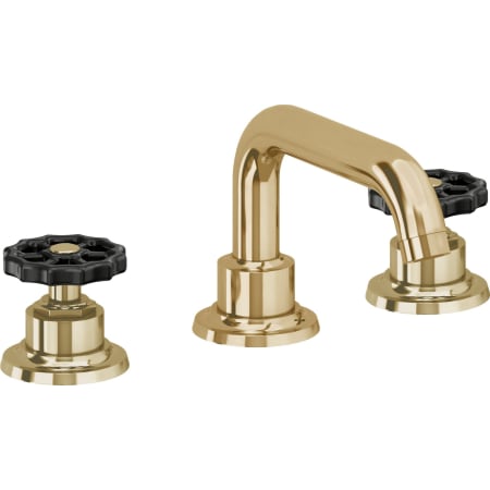 A large image of the California Faucets 8002WB Polished Brass