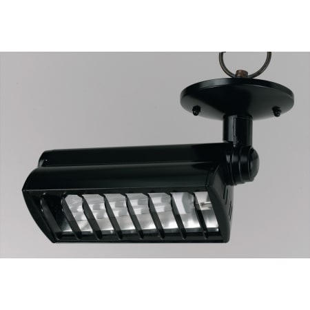 A large image of the Cal Lighting CE-956 Black