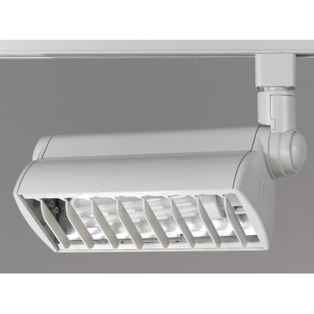 A large image of the Cal Lighting HT-955 Frosted White
