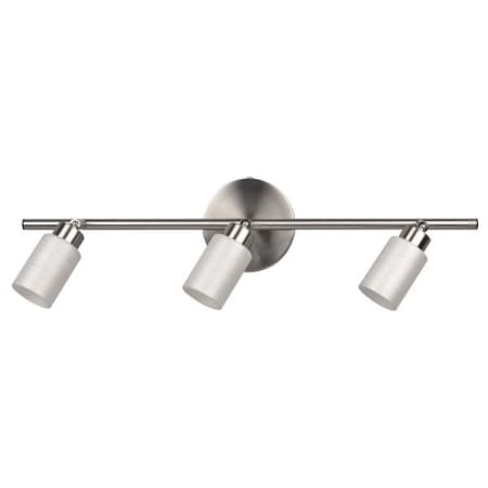 A large image of the Canarm IT359A039 Brushed Pewter