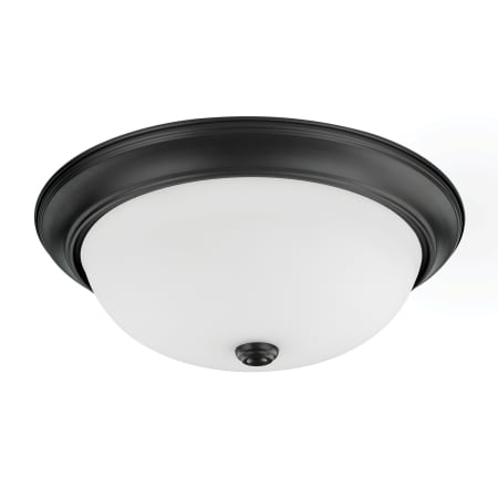A large image of the Capital Lighting 214731 Matte Black