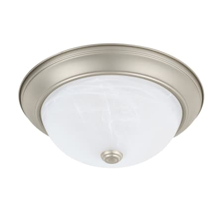 A large image of the Capital Lighting 219022 Matte Nickel